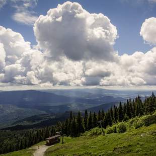 Wald in Bayern, Gebirge