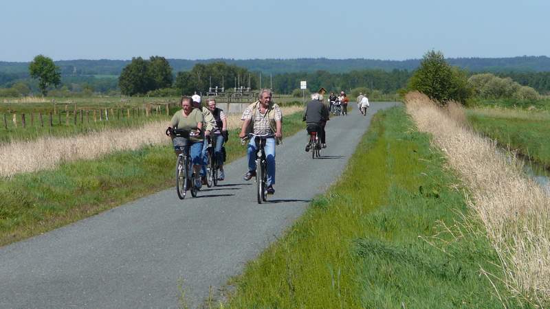 Radtour um den Dümmer See!