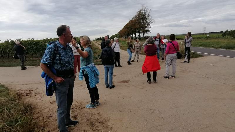 Gemeinsam in Saulheim wandern