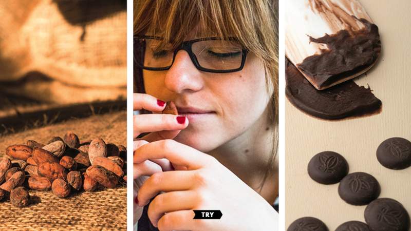 Online Schokoladen-Tasting