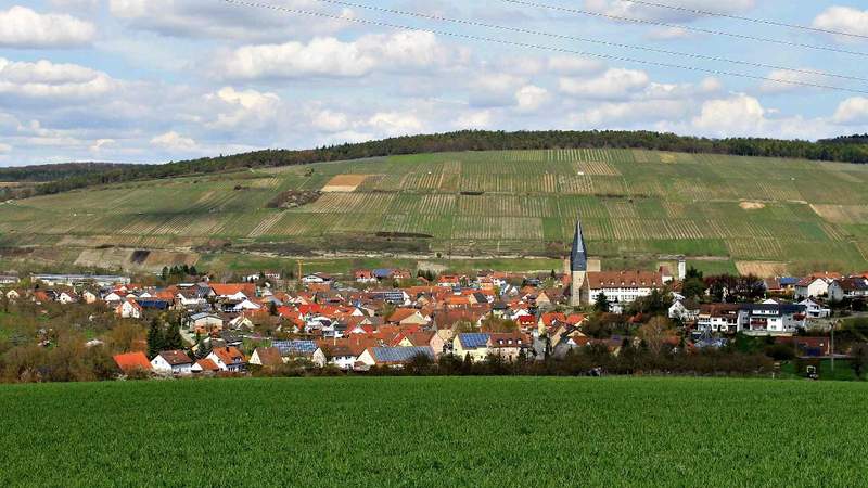Segway-Tour Markelsheim mit Weinprobe