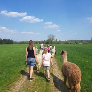 JGA bei Lamas & Alpakas + Kaffee & Kuchen