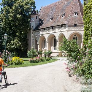 Genussradeln im Retzer Weinland