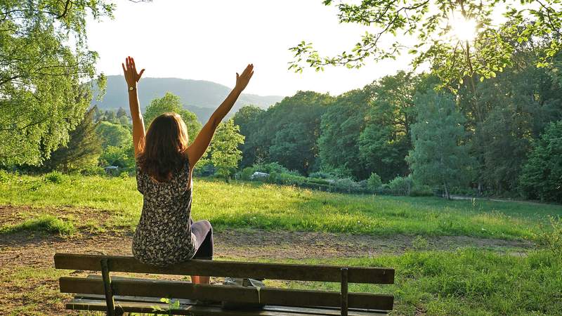 Wandern an der Mosel Genuss-Wandern auf dem Moselsteig (3 Tage)