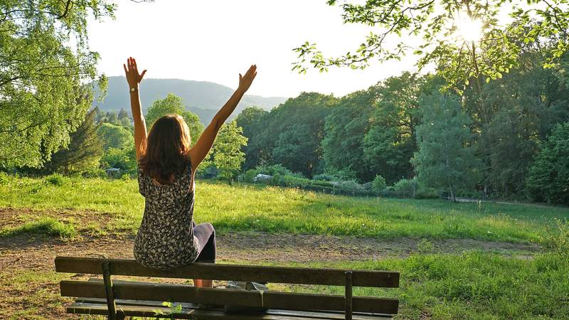 Genuss-Wandern auf dem Moselsteig (3Tage)