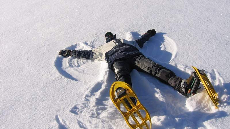 Schneeschuhwandern am Feldberg im Schwarzwald