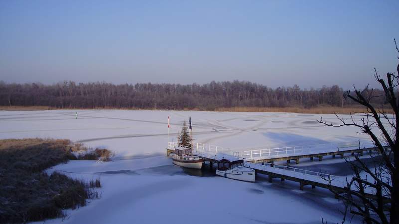 SeeLodge Winter Blick auf See Weihnachtsfeier mit Weihnachtsbaumschlagen