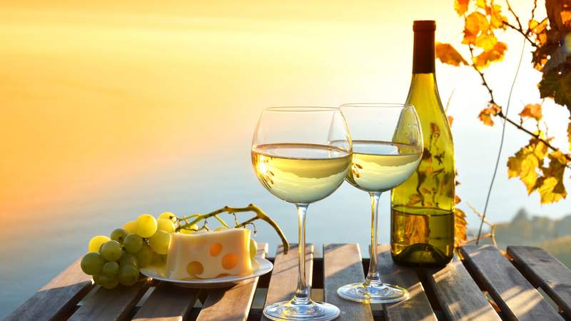 Wein & Genuss Wein & Genuss