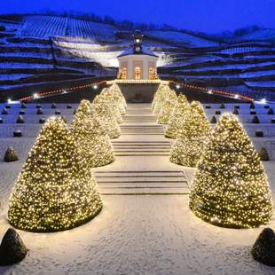 Winterzauber im Schloss Wackerbarth