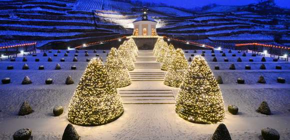 Winterzauber im Schloss Wackerbarth