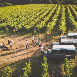 Rheingau - die Land Rover Weinbergtour