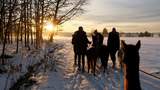Glühweinwanderung mit Alpakas & Lamas