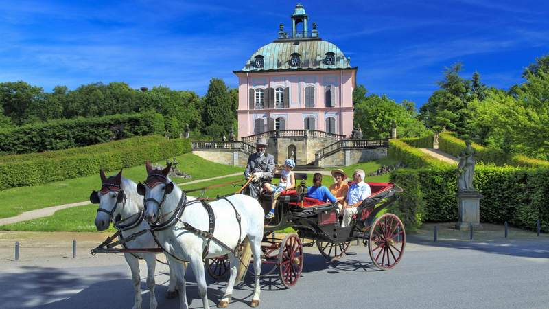 moritzburg, schloss, kutschfahrt, ausstellung, pferdezucht