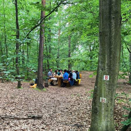 WaldBaden in der Dresdner Heide - Geocaching+