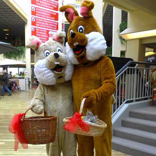 Hase, Osterhase Hase, Osterhase, Walk-Act