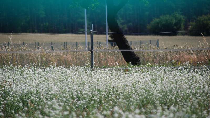 Herrlicher Teamtag in schöner Natur