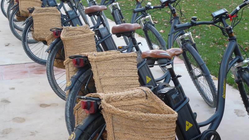 Wein & Bike | Fahrradreisen mit Wein & Genuss