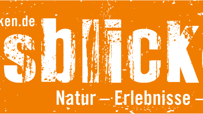 Ausblicken Teambuilding