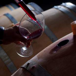 Mallorca Bodega-Besichtigung mit Winetasting