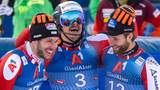 Skiweltcup