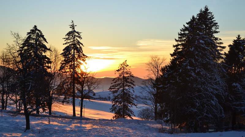 Schlittenfahren Schwarzwald