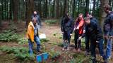 Eine Gruppe von Menschen spielt im Wald Crossgolf