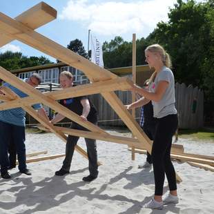 Brückenbau Leonardo-Brücke