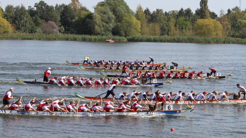 Drachenbootrennen Drachenboot-Rennen