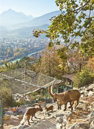 Nachhaltiges Event in Innsbruck