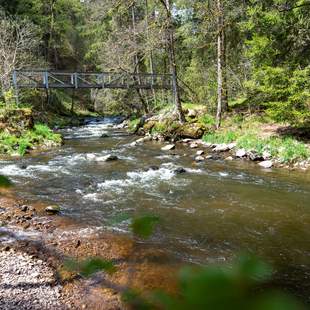 Ritterspiele und Wasserfälle im Schwarzwald