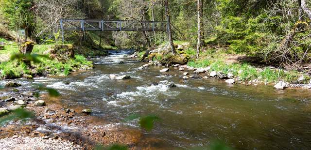 Ritterspiele und Wasserfälle im Schwarzwald