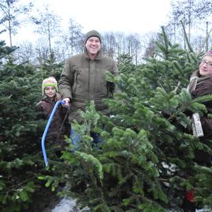 Christbaumschlagen & Weihnachtsfeier