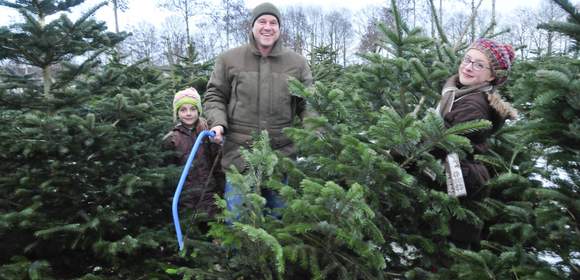 Christbaumschlagen & Weihnachtsfeier