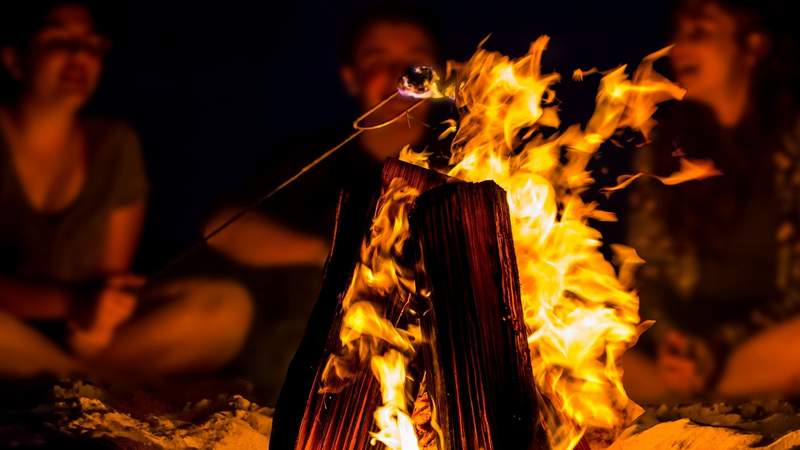 Feuer & Flamme - Aus der Krise auf die Wiese