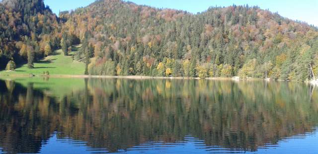 Krimiführung am Alatsee "Seegrund"