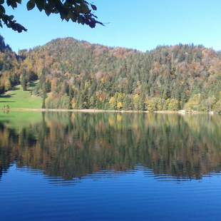 Krimiführung am Alatsee "Seegrund"