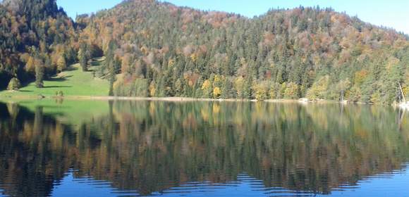 Krimiführung am Alatsee "Seegrund"