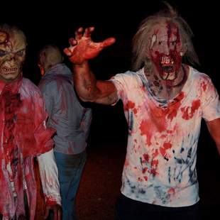 Zombie-Apokalypse, Grusel Events, Zombie Event, Horror Event, Emmerich Events, Halloween Event, Firmenevents, Firmenfeier, Betriebsfeier
