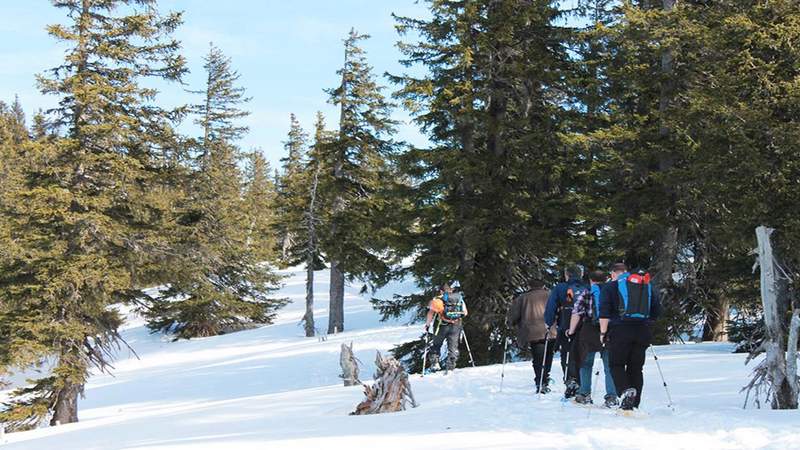 Schneeschuhwanderung im Allgäu