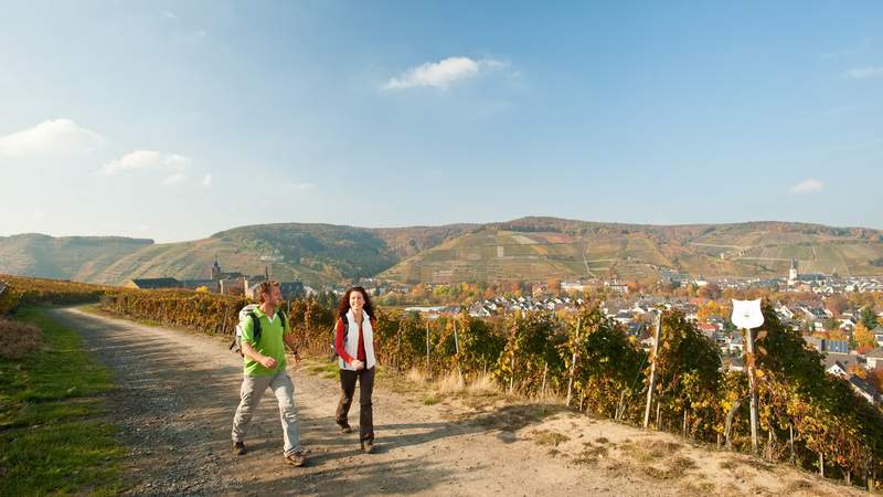 “Wein & Wandern” im Ahrtal