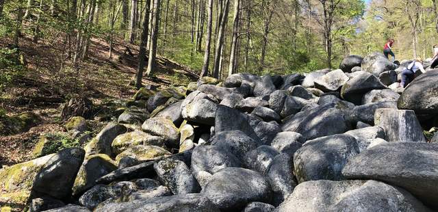 Felsenmeer Expedition im Odenwald