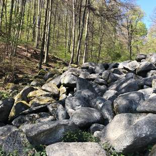 Felsenmeer Expedition im Odenwald