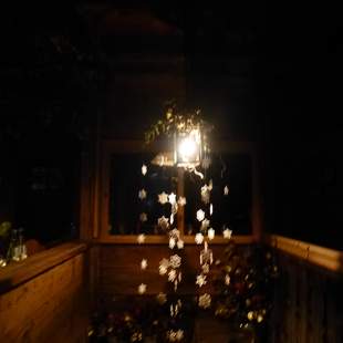 Firmenweihnachtsfeier: "O Tannenbaum" Firmenweihnachtsfeier: "O Tannenbaum"