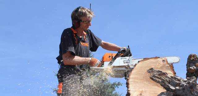 Live-Event "Schnitzen mit der Kettensäge"