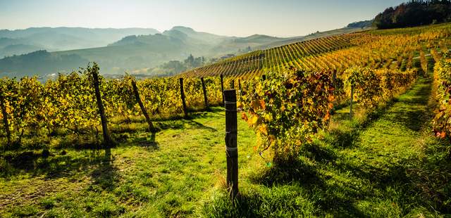 Unesco Piemont