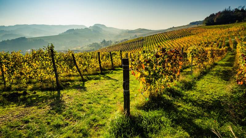 Piemont Weinberge Unesco Piemont