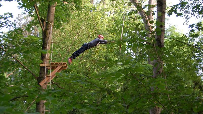 Teambuilding: Klettern im Hochseilgarten