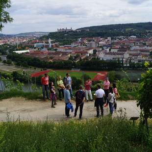 Weinbergwanderung: Weinwanderung Würzburg