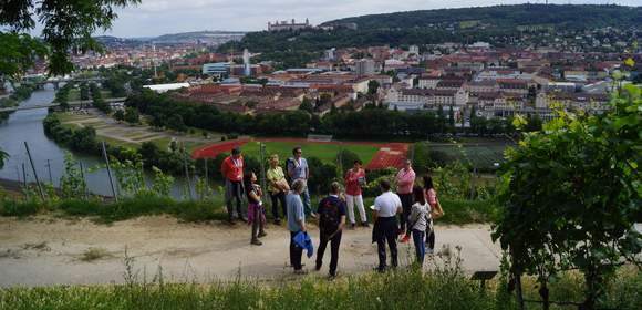 Weinbergwanderung: Weinwanderung Würzburg