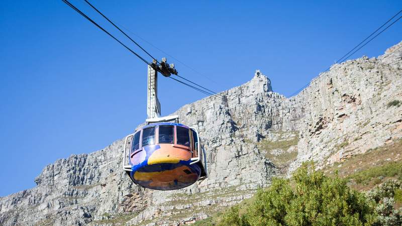 African Wildlife meets vibrant Cape Town